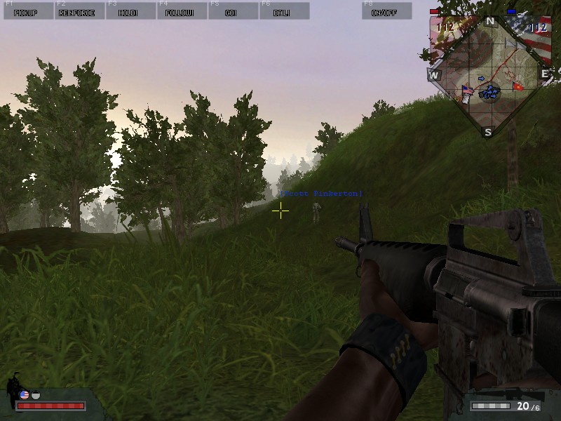 Nice foliage!